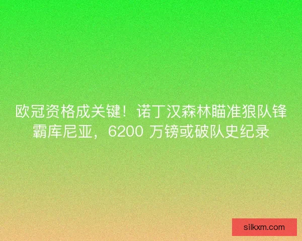 欧冠资格成关键！诺丁汉森林瞄准狼队锋霸库尼亚，6200 万镑或破队史纪录
