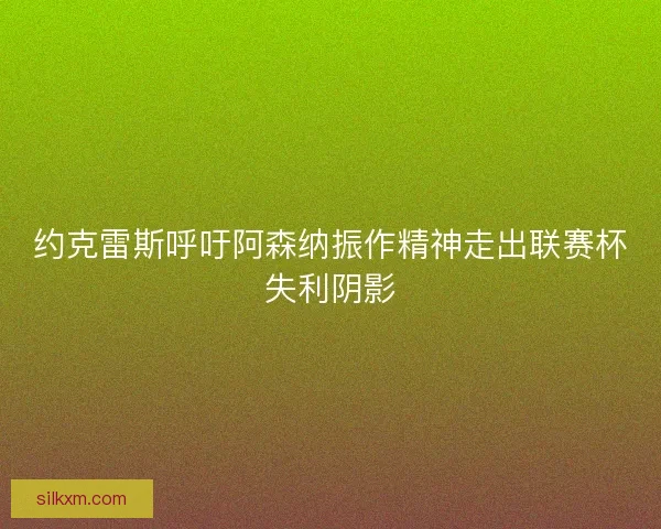 约克雷斯呼吁阿森纳振作精神走出联赛杯失利阴影