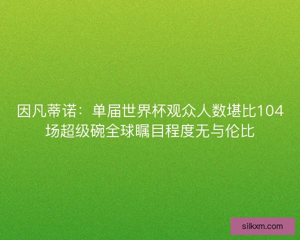 因凡蒂诺：单届世界杯观众人数堪比104场超级碗全球瞩目程度无与伦比